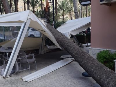 Orihuela suspende las actividades al aire libre y corta una calle por el viento