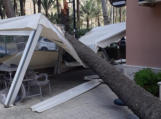 Orihuela suspende las actividades al aire libre y corta una calle por el viento