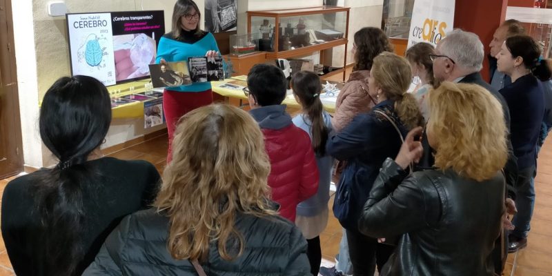 Éxito de la primera Semana del Cerebro organizada por Ars Creatio en Torrevieja