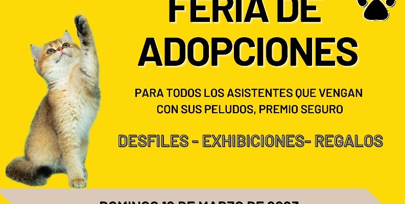 Albatera celebra su primera “Feria de Adopciones” de canes y felinos