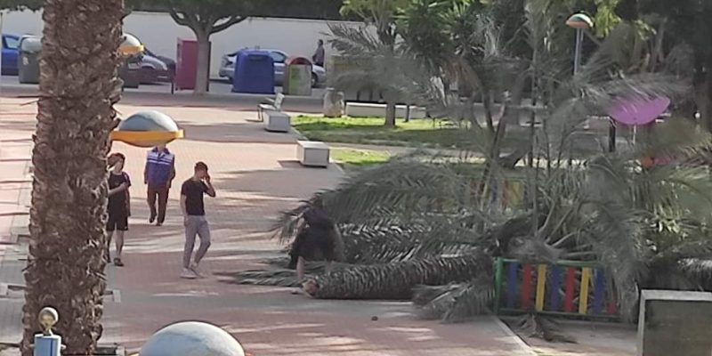 El PP de Orihuela acusa al área de Infraestructuras de no actuar en parques y jardines