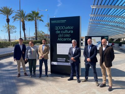 Torrevieja inaugura la exposición '300 años de cultura del vino en Alicante'