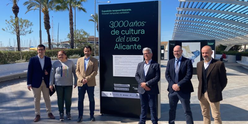 Torrevieja inaugura la exposición '300 años de cultura del vino en Alicante'