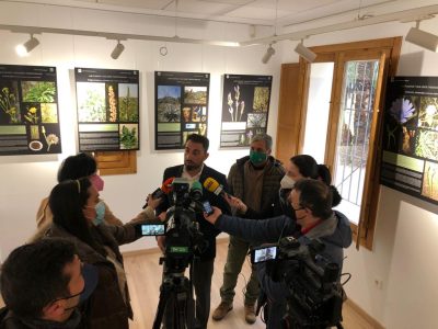 El PP exige que se reabra al público el Centro de Interpretación del Palmeral de Orihuela