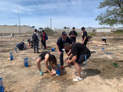Albatera repobla más de 500 árboles con diversas actividades