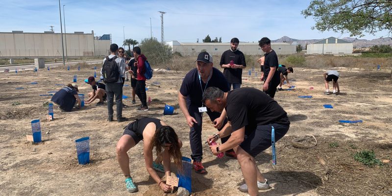 Albatera repobla más de 500 árboles con diversas actividades