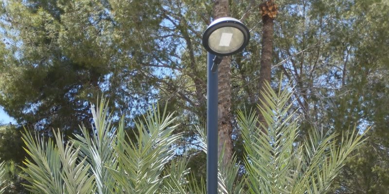 Orihuela recepciona los trabajos de cambio de luminarias en el Palmeral