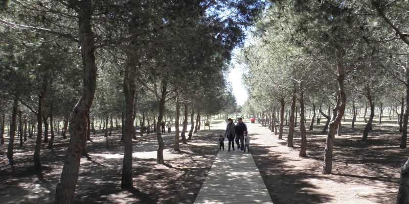 Más de mil personas acampan en el área 'José Eduardo Gil Rebollo' de Torrevieja