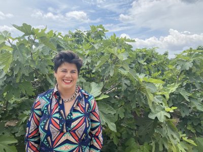 Albatera organiza las V Jornadas Gastronómicas de la Breva Colar