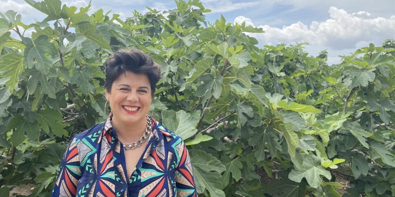 Albatera organiza las V Jornadas Gastronómicas de la Breva Colar