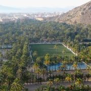 Comienzan las visitas guiadas al palmeral de Orihuela