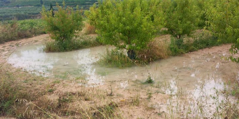 LA UNIÓ califica las lluvias de "auténtica bendición para cultivos y pastos"