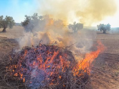 LA UNIÓ pide al Consell una ampliación del periodo de quemas agrícolas
