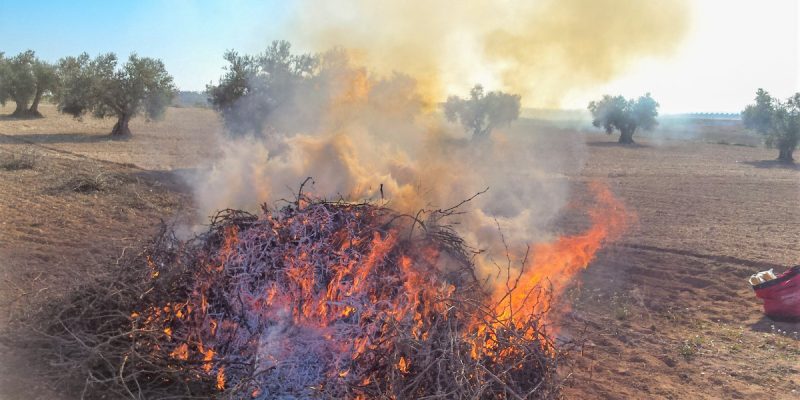 LA UNIÓ pide al Consell una ampliación del periodo de quemas agrícolas