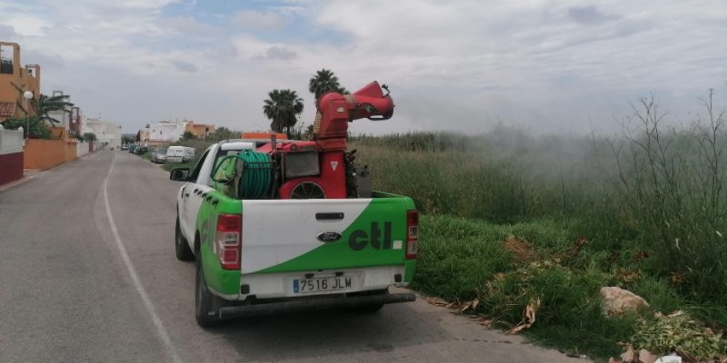 Orihuela intensifica la fumigación de larvas de mosquito tras las lluvias