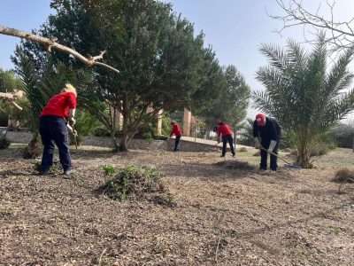 Orihuela recibe una subvención para contratar 60 peones agrícolas y 12 capataces