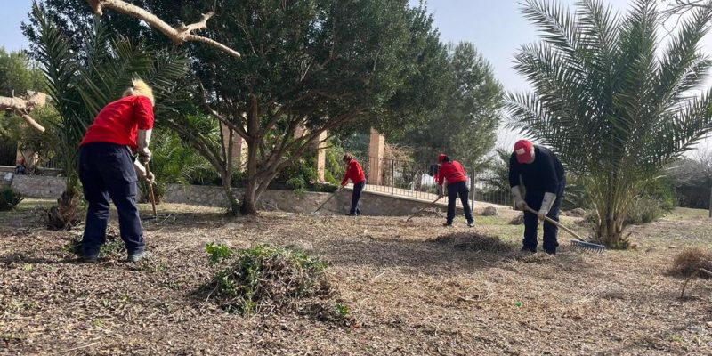 Orihuela recibe una subvención para contratar 60 peones agrícolas y 12 capataces