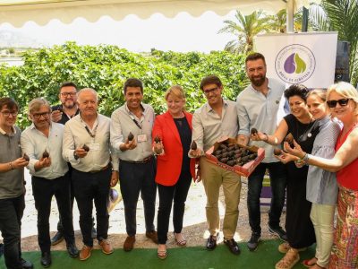 Albatera celebra el V Corte de la Breva y abre la temporada de su producto estrella