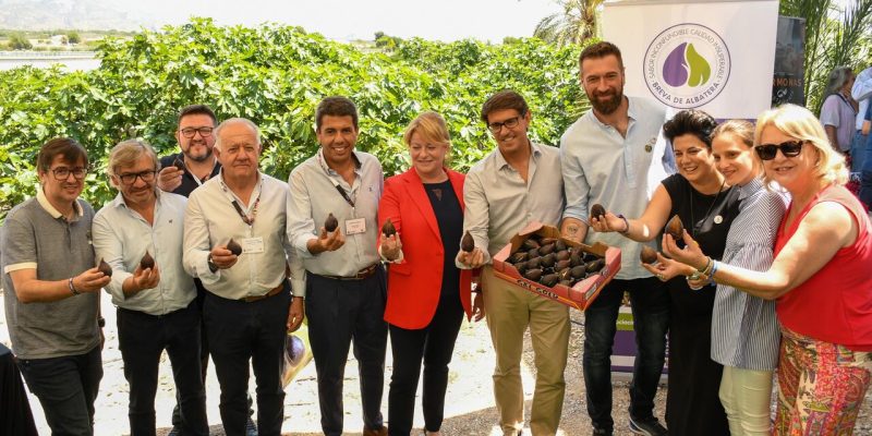 Albatera celebra el V Corte de la Breva y abre la temporada de su producto estrella