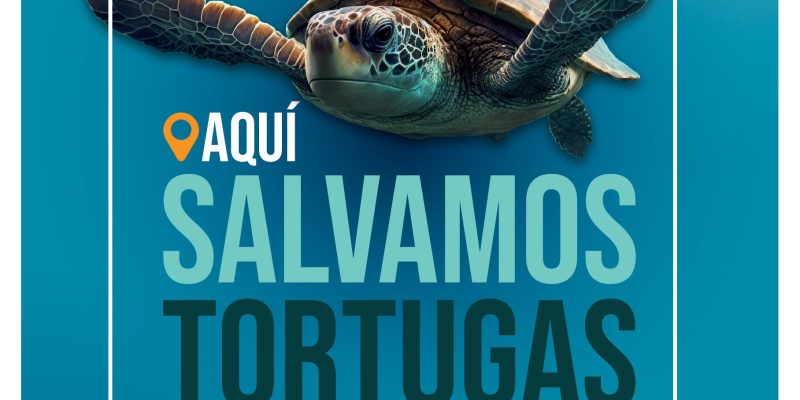 Orihuela se suma a la campaña de sensibilización 'Tortugas del Mediterráneo'