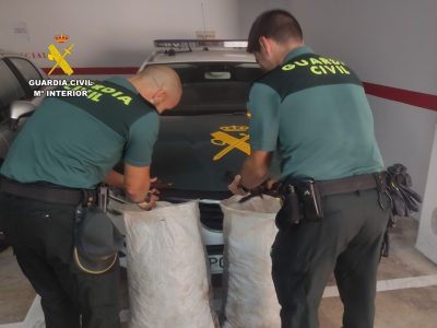La Guardia Civil investiga el robo de algarrobas en la Vega Baja