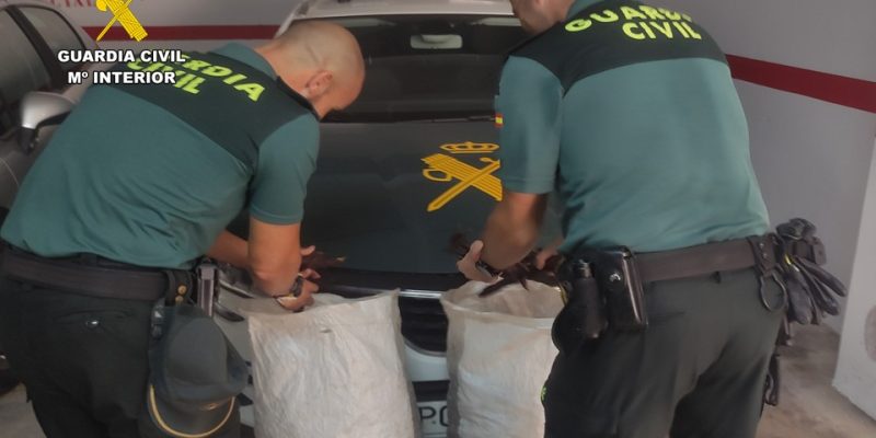 La Guardia Civil investiga el robo de algarrobas en la Vega Baja