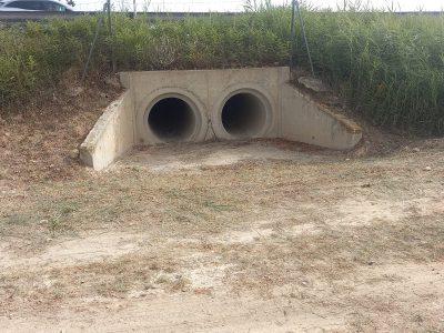 Almoradí toma medidas ante las posibles lluvias del otoño
