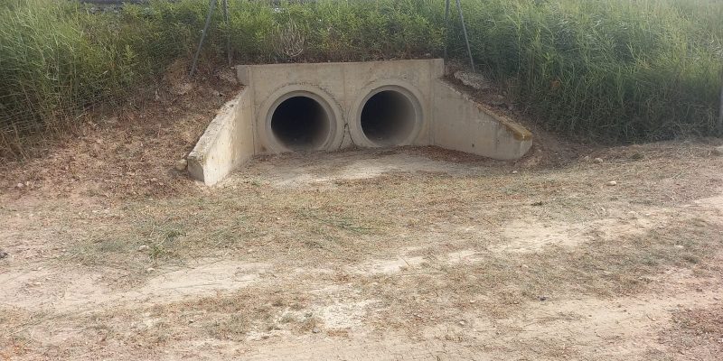 Almoradí toma medidas ante las posibles lluvias del otoño