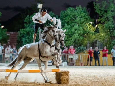 Más de 4.000 personas han visitado la feria FEGADO de Dolores