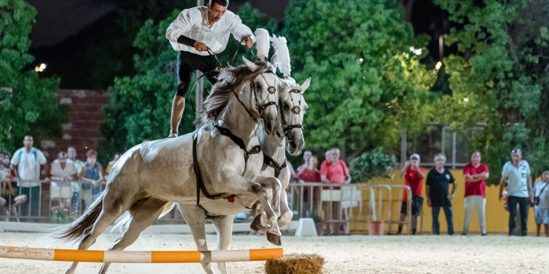 Más de 4.000 personas han visitado la feria FEGADO de Dolores