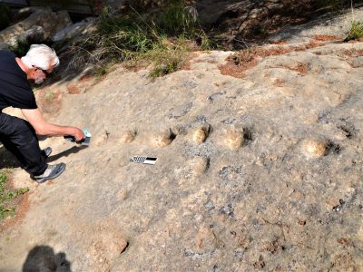 Aparecen 17 localizaciones de grabados prehistóricos en Guardamar y Rojales