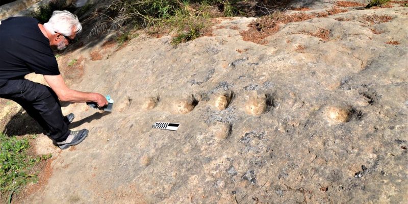 Aparecen 17 localizaciones de grabados prehistóricos en Guardamar y Rojales