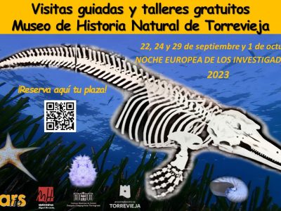 Torrevieja organiza visitas guiadas y talleres en el Museo de Historia Natural