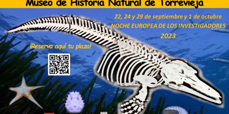 Torrevieja organiza visitas guiadas y talleres en el Museo de Historia Natural