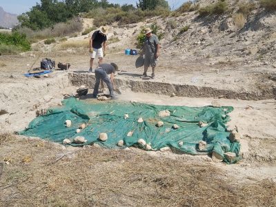 El BIC Yacimiento de Los Saladares contará con un plan director para protegerlo, datarlo y delimitarlo. Ya se han reanudado las obras de la segunda fase de las excavaciones