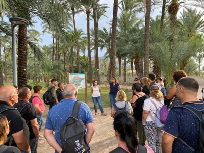 Se reanudan las visitas guiadas al Centro de Interpretación del Palmeral de Orihuela