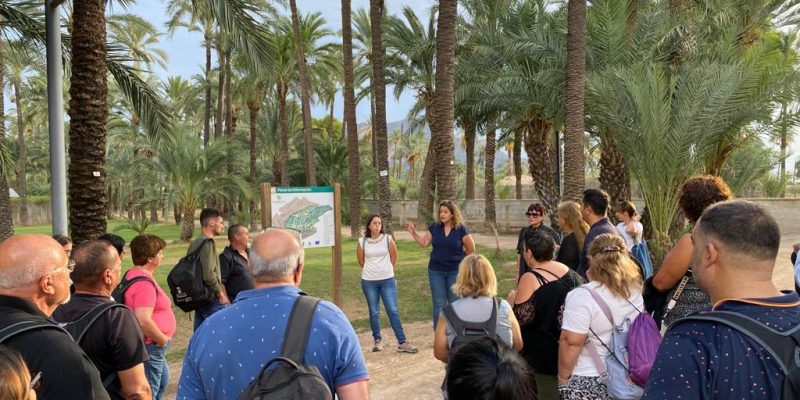 Se reanudan las visitas guiadas al Centro de Interpretación del Palmeral de Orihuela