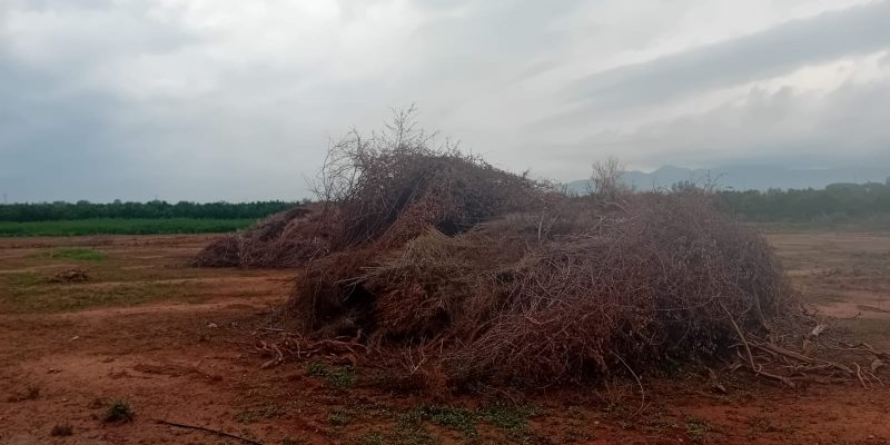 La UNIÓ pide la autorización para quema de restos agrícolas