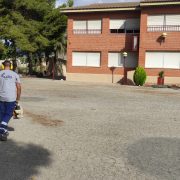 Orihuela acondiciona los exteriores de los colegios ante el inicio del curso