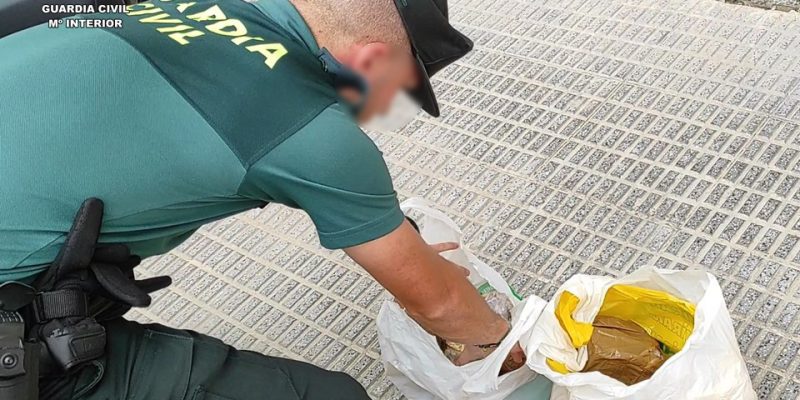 La Guardia Civil detiene a un conductor por tráfico de drogas en Albatera