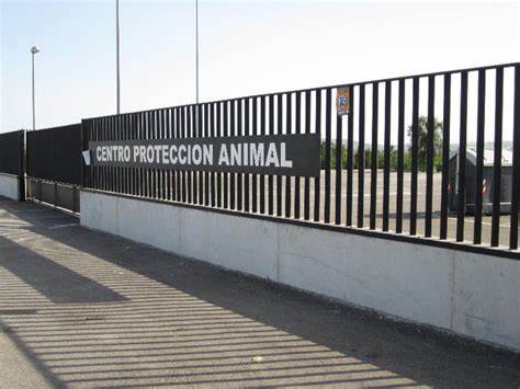 Cambiemos Orihuela pide que se haga una modificación de crédito para cubrir la deuda con Asoka