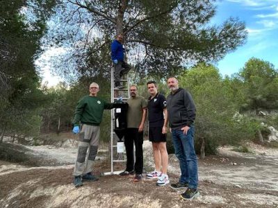 Benejúzar controla el 'Tomicus destruens' con trampas en el arbolado del monte