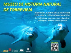 Torrevieja organiza visitas guiadas y talleres gratuitos al Museo de Historia Natural