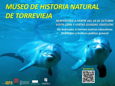 Torrevieja organiza visitas guiadas y talleres gratuitos al Museo de Historia Natural