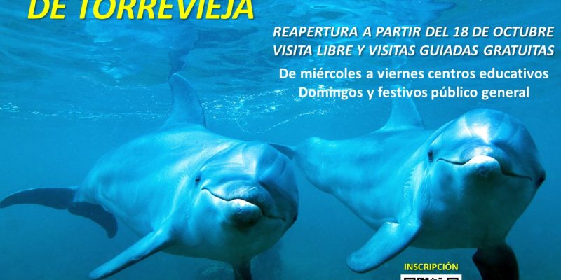 Torrevieja organiza visitas guiadas y talleres gratuitos al Museo de Historia Natural