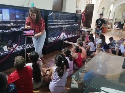 Casi 200 personas realizan las visitas guiadas en el Museo de Historia Natural de Torrevieja