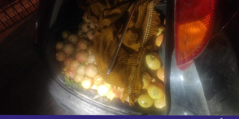 La Policía Local de Albatera recupera 600 kilos de granada sustraídas de zonas rurales