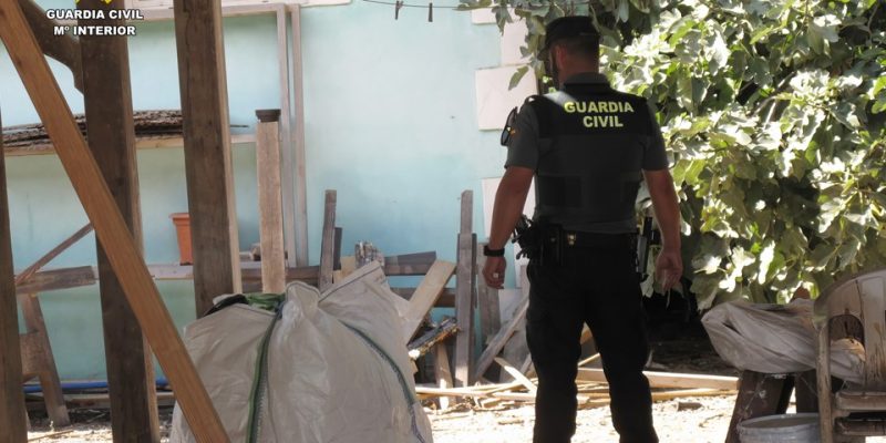 La Guardia Civil desmantela una plantación de marihuana en Catral