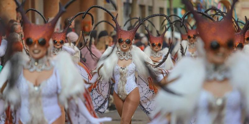 La comparsa torrevejense Daimana organiza la I Fiesta Carnavalera Solidaria
