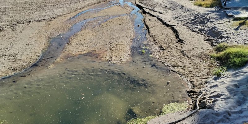 Ciudadanos Orihuela denuncia el mal estado de Cala Estaca y Cala Mosca